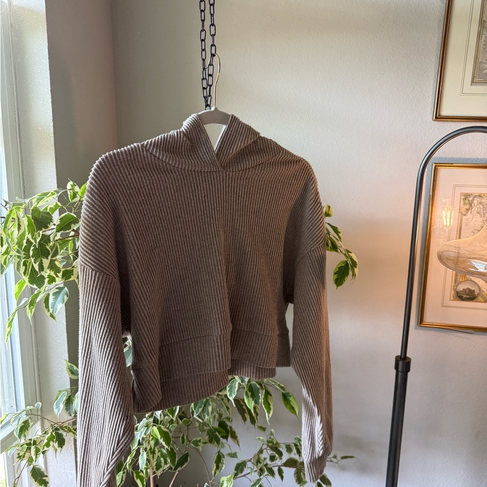 ALO Yoga Brown Hoodie